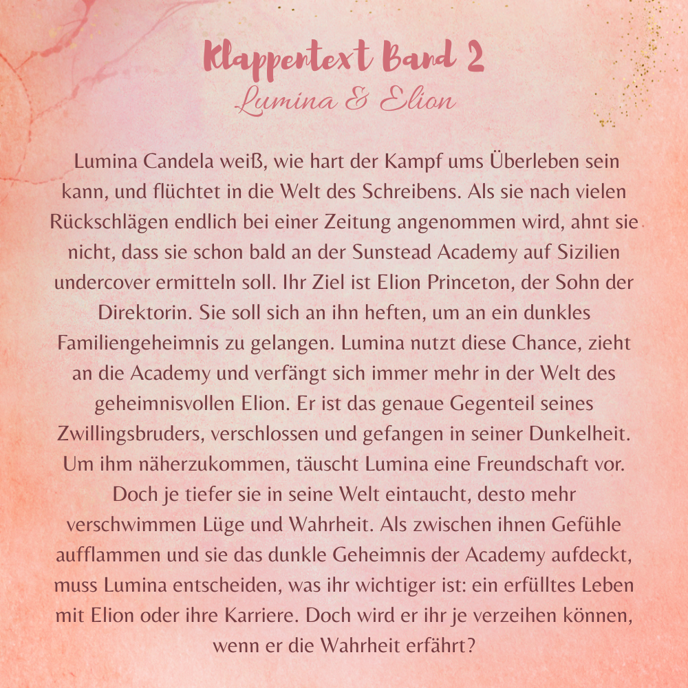 Exklusive Buchbox - The Sunstead Academy Band 2