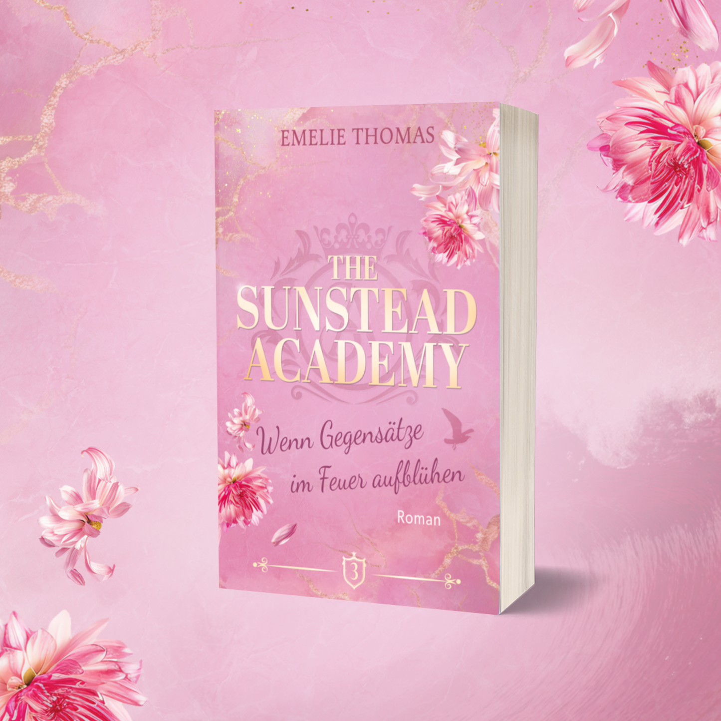 The Sunstead Academy Band 3 (ohne Farbschnitt)