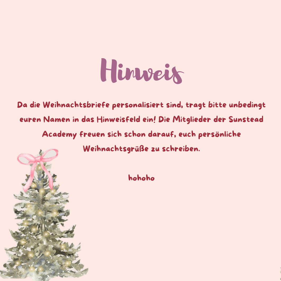 Weihnachts-Buchbox – The Sunstead Academy Band 2