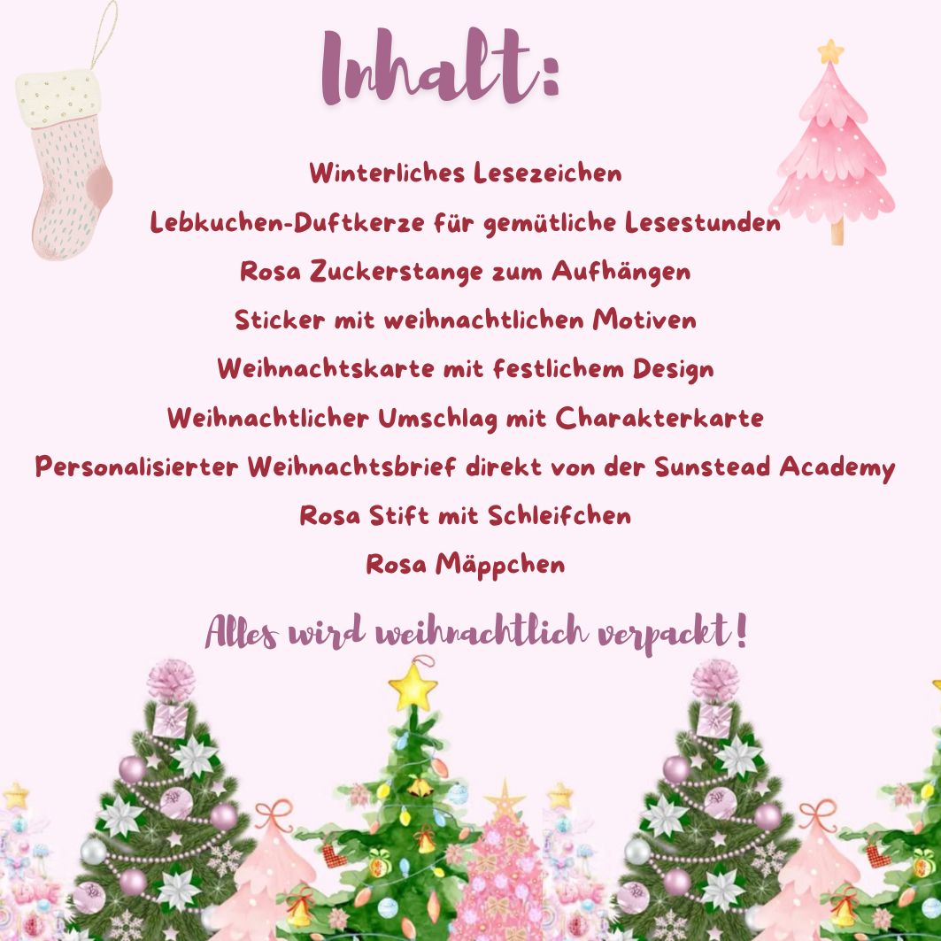 Weihnachtsbox - The Sunstead Academy ohne Buch