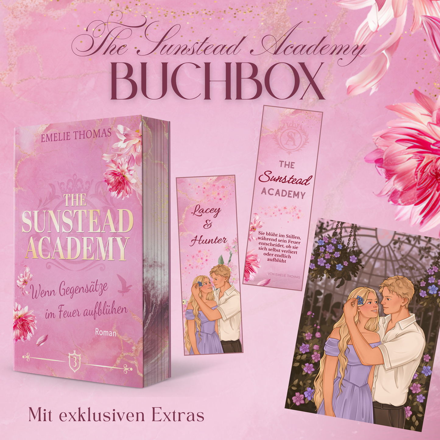Exklusive Buchbox - The Sunstead Academy Band 3