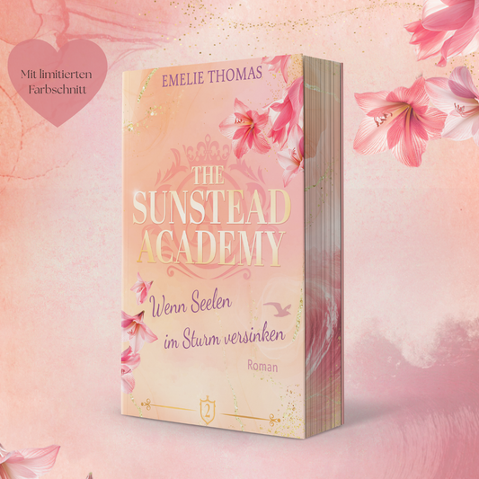 The Sunstead Academy - Wenn Seelen im Sturm versinken (Band 2)