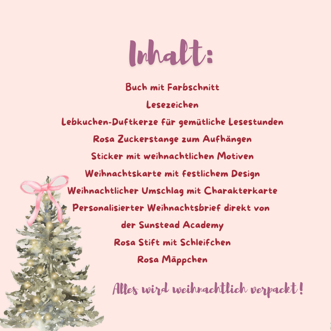 Weihnachts-Buchbox – The Sunstead Academy Band 2