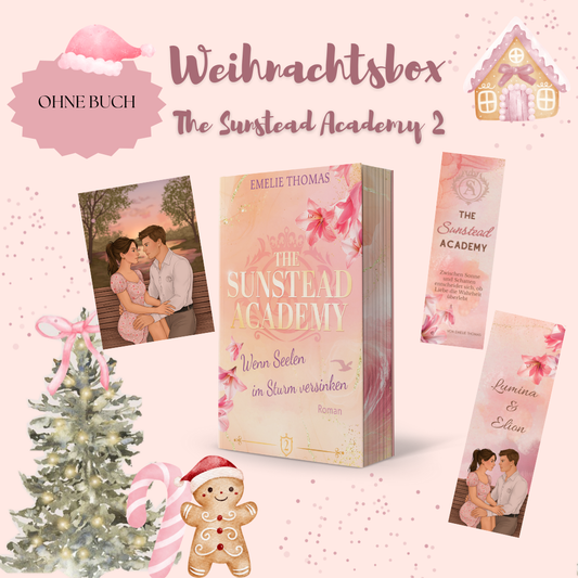 Weihnachts-Buchbox – The Sunstead Academy Band 2 OHNE BUCH