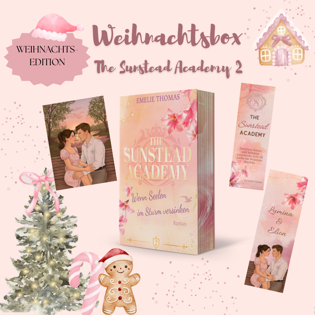 Weihnachts-Buchbox – The Sunstead Academy Band 2
