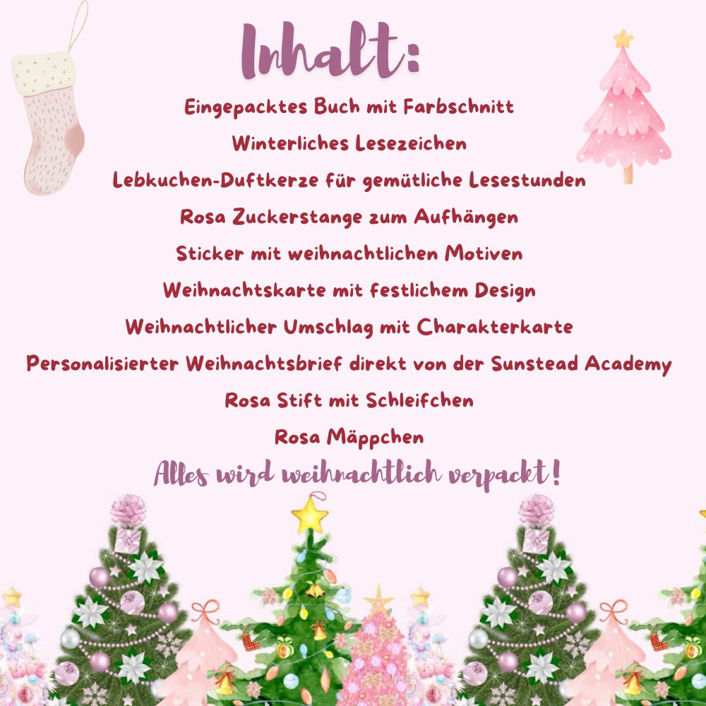 Weihnachts-Buchbox – The Sunstead Academy Band 1
